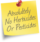 no-herbicides-or-pesticides